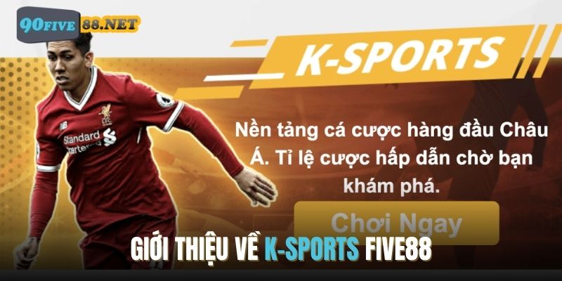 Giới thiệu sơ nét về sảnh cá cược thể thao K-SPORTS